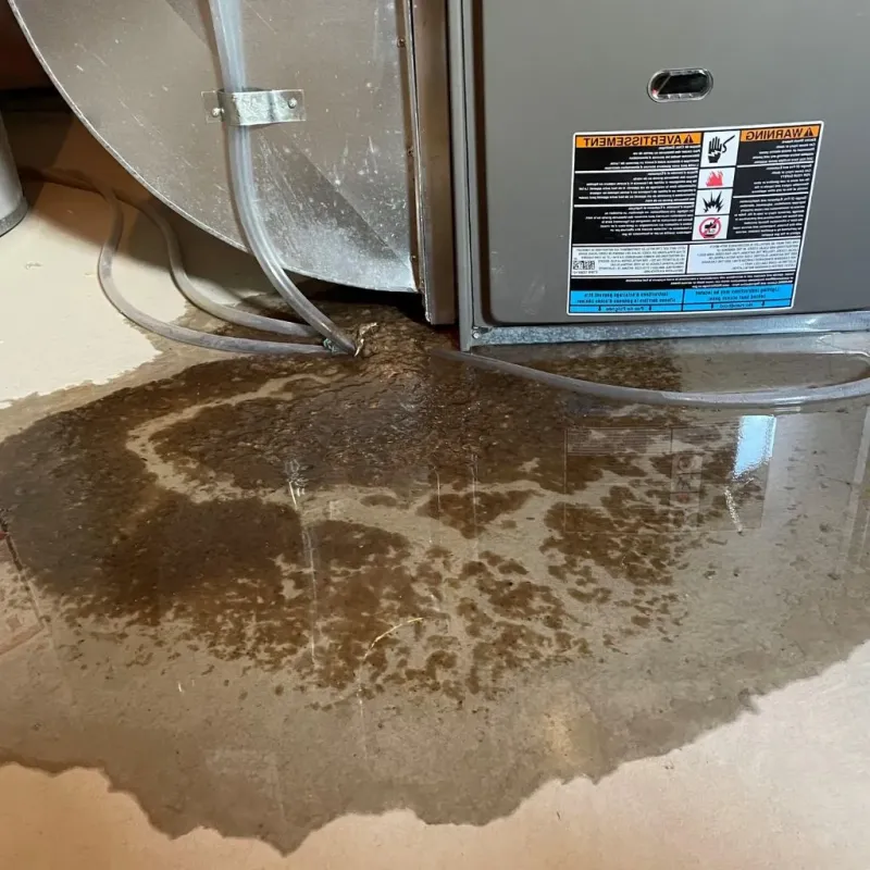 Pipe Burst and Leak Restoration in Alpine, NJ