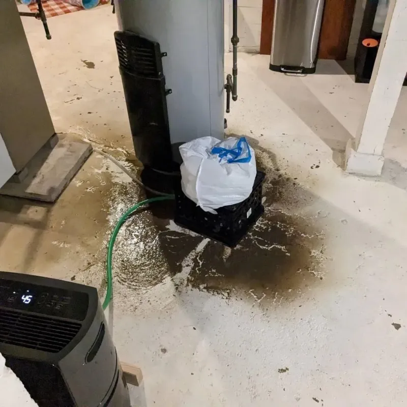 Sewage Backup Cleanup Service in Alpine, NJ